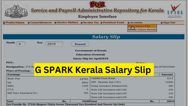 G SPARK Kerala Salary Slip 202